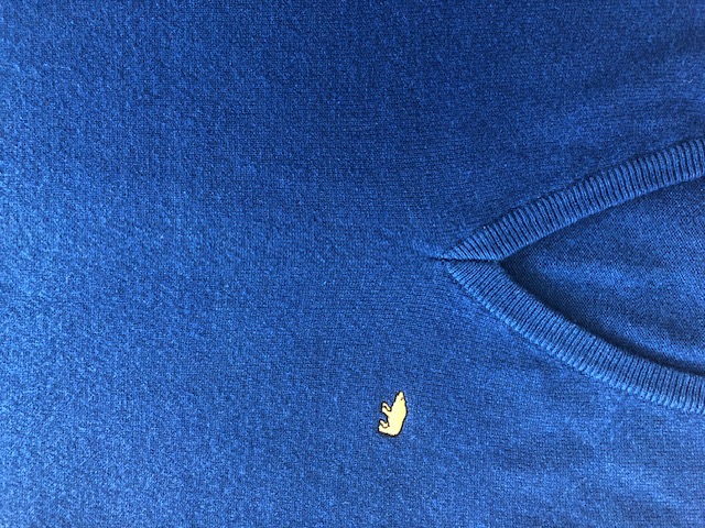 食べこぼしがいっぱい　長い期間洗ってないベスト　あま市Y様|愛知洗い人｜愛知県染み抜きのできるクリーニング店紹介サイト