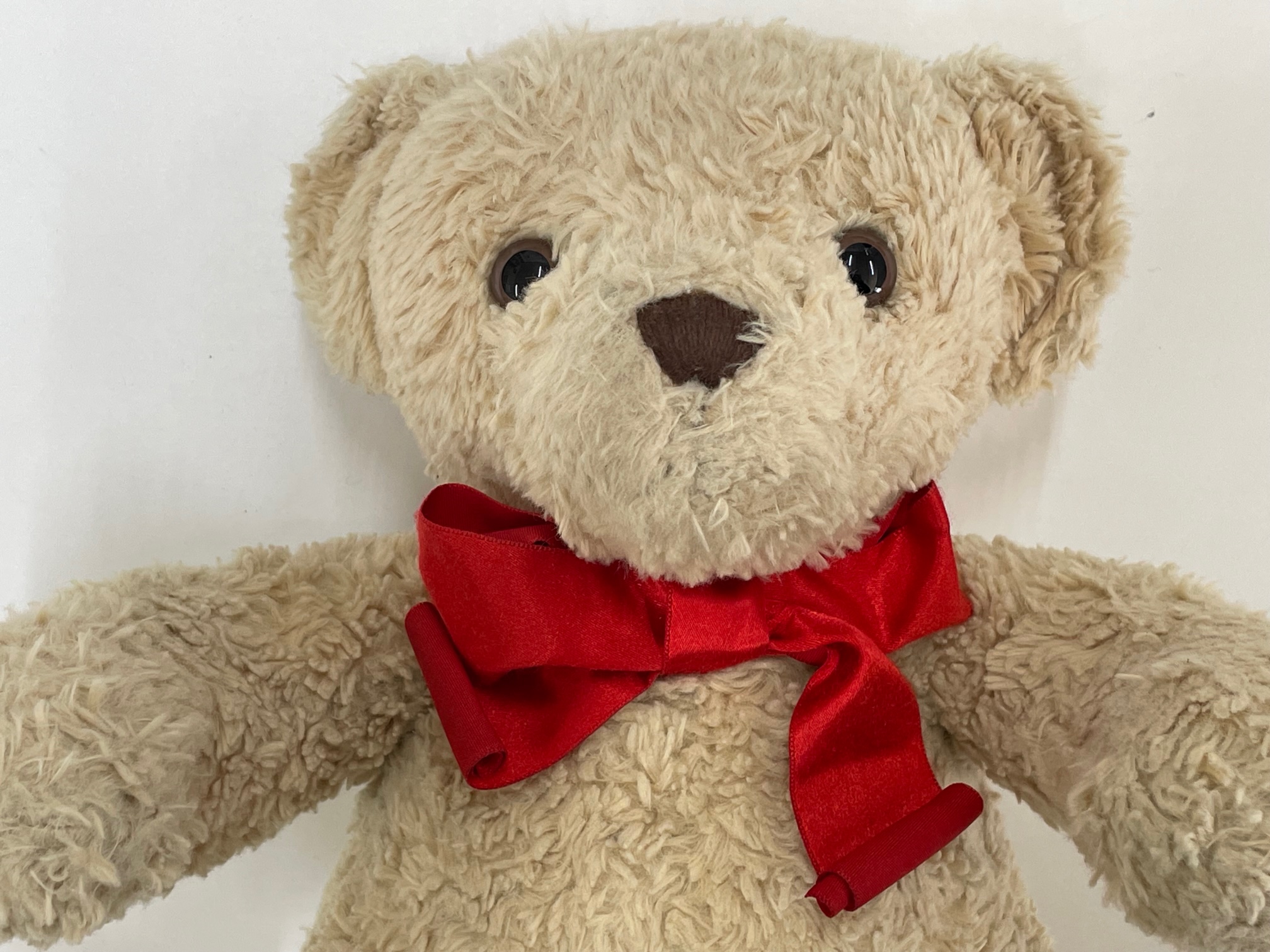 ぬいぐるみの目の部分の交換修理　どんな修理でも諦めずお任せ下さい！|愛知洗い人｜愛知県染み抜きのできるクリーニング店紹介サイト