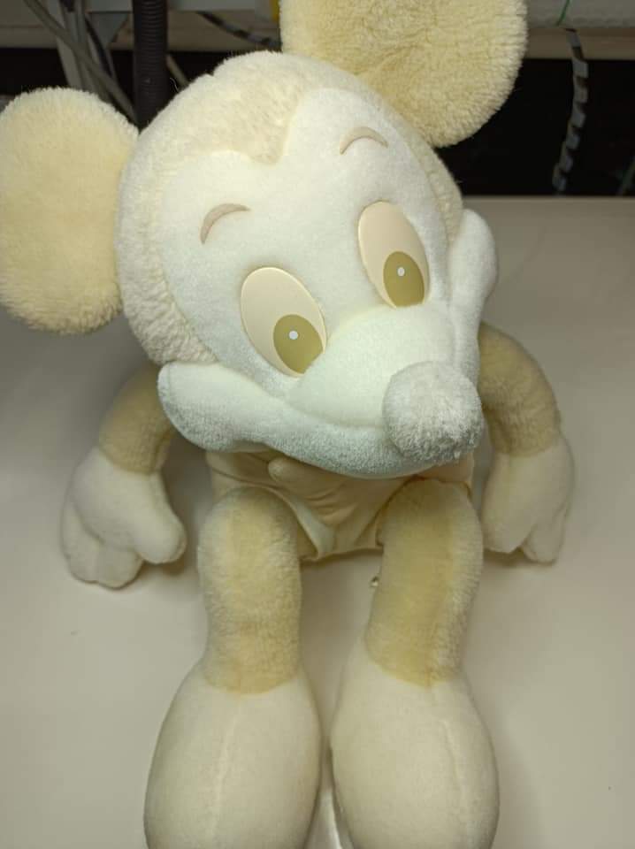 東京ディズニーシー新エリア誕生|愛知洗い人｜愛知県染み抜きのできるクリーニング店紹介サイト