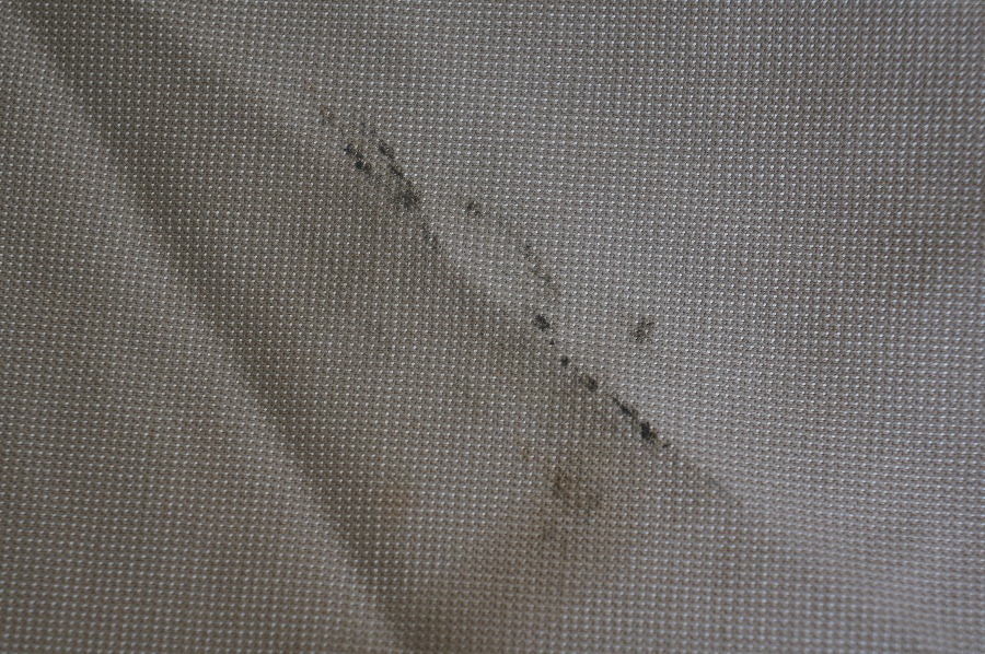 愛知洗い人｜愛知県染み抜きのできるクリーニング店紹介サイト