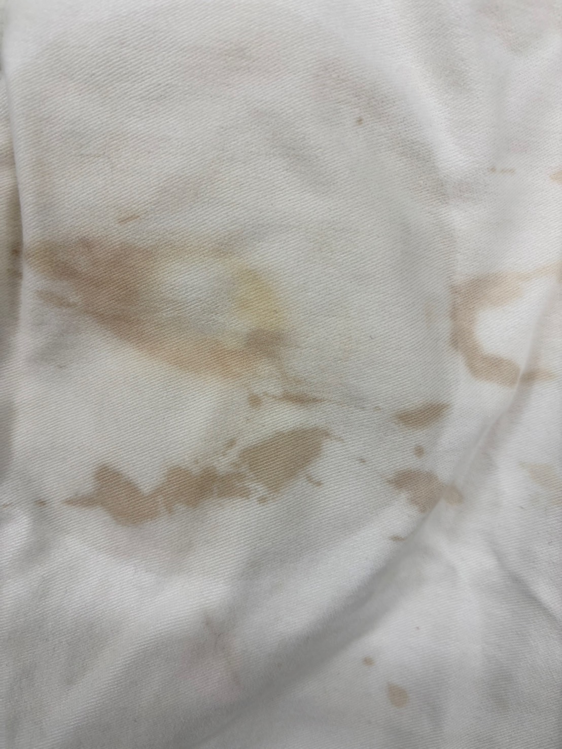 愛知洗い人｜愛知県染み抜きのできるクリーニング店紹介サイト