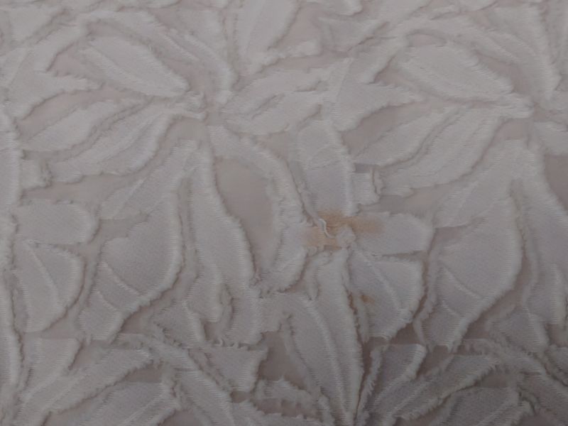 愛知洗い人｜愛知県染み抜きのできるクリーニング店紹介サイト