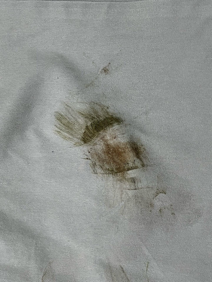 愛知洗い人｜愛知県染み抜きのできるクリーニング店紹介サイト