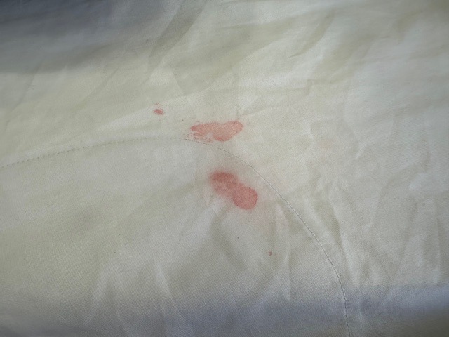 愛知洗い人｜愛知県染み抜きのできるクリーニング店紹介サイト