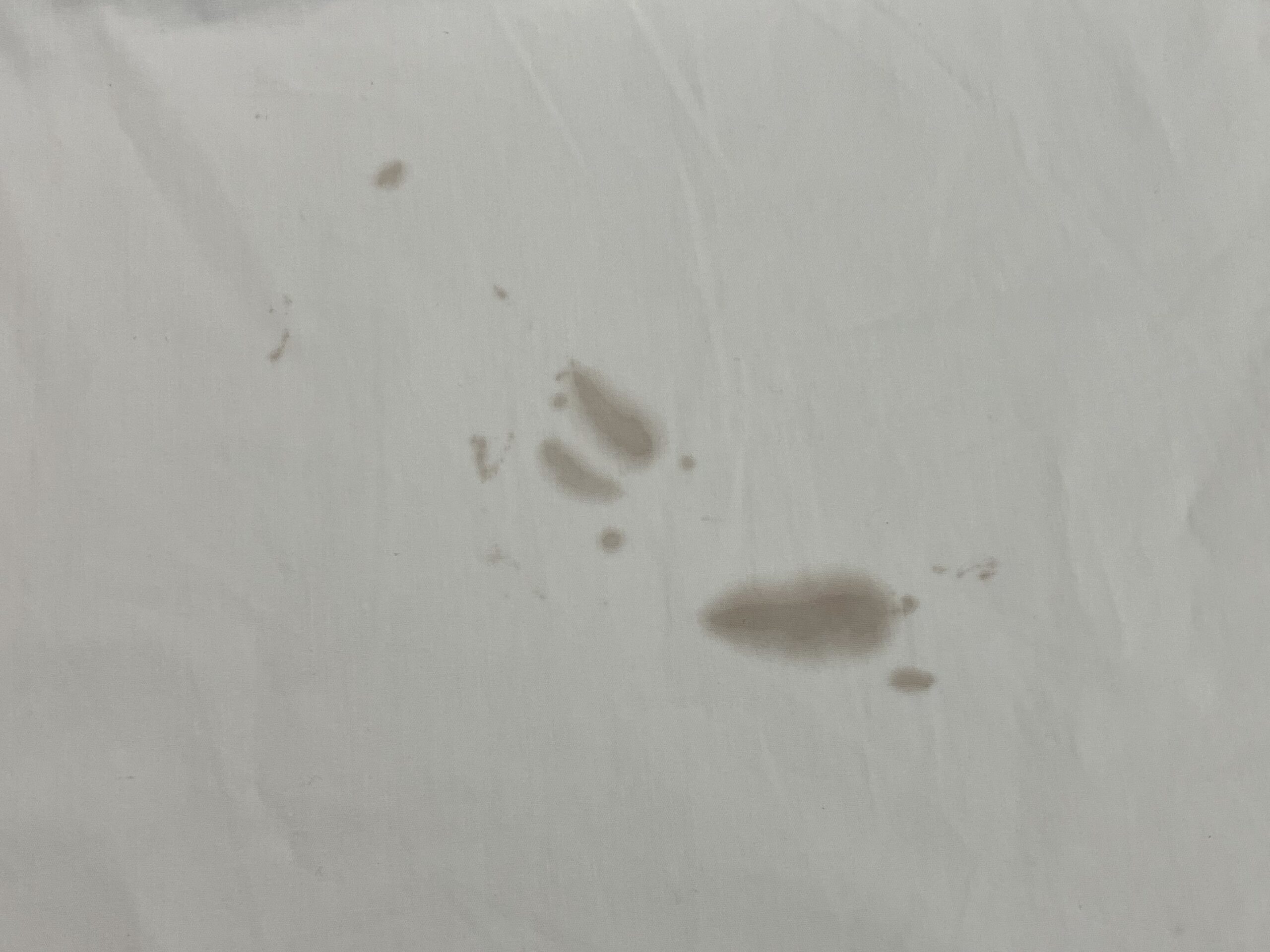 愛知洗い人｜愛知県染み抜きのできるクリーニング店紹介サイト