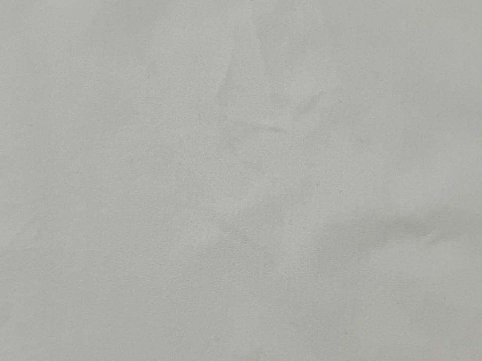 お気に入りのブラウスに毛染め剤が…|愛知洗い人｜愛知県染み抜きのできるクリーニング店紹介サイト