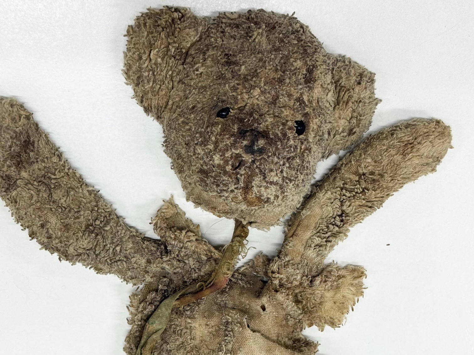 愛知洗い人｜愛知県染み抜きのできるクリーニング店紹介サイト